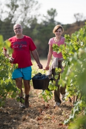 La vigne et le métier de vigneron au fil des saisons.