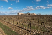 La vigne et le métier de vigneron au fil des saisons.