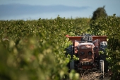 La vigne et le métier de vigneron au fil des saisons.